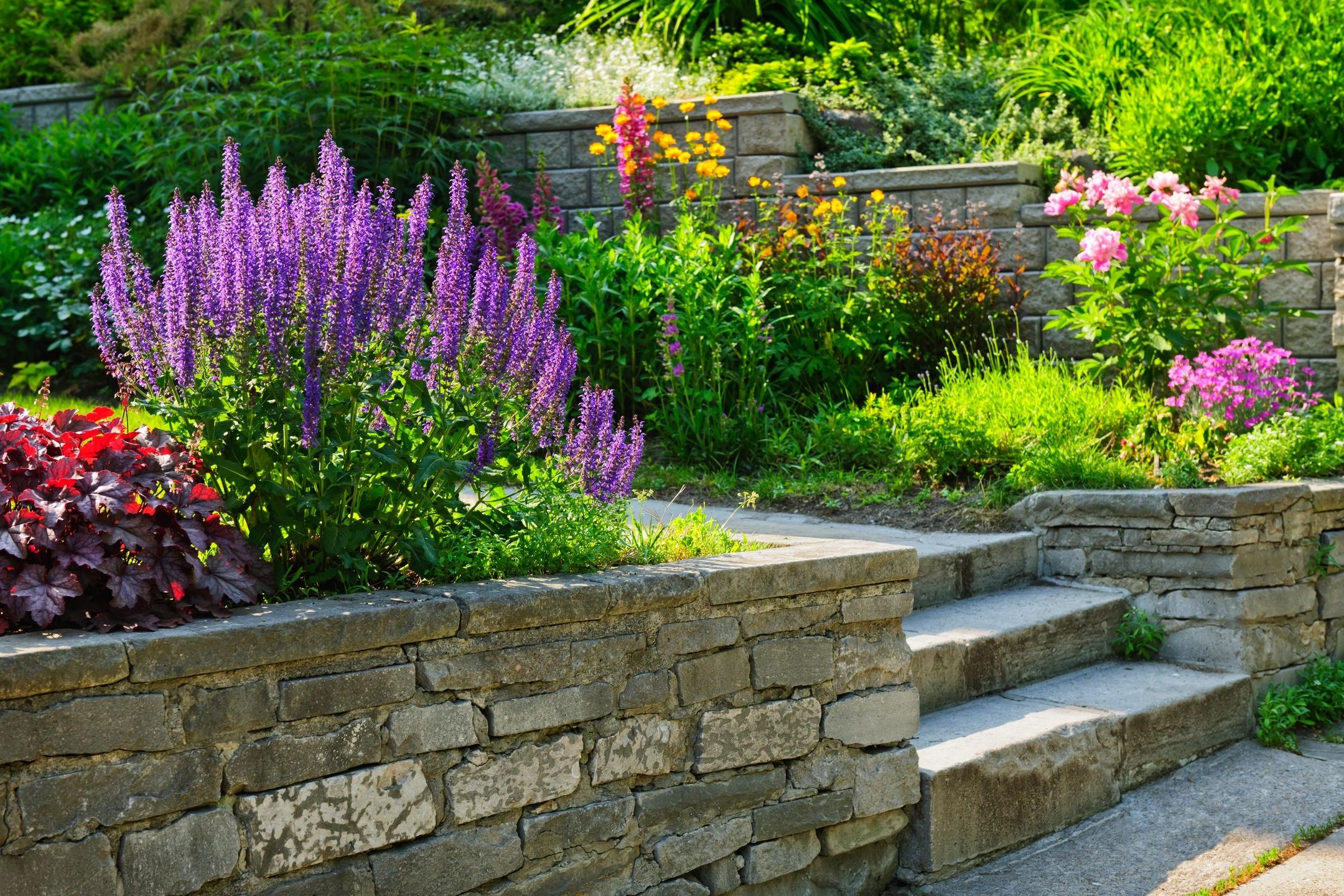 A garden with steps and flowers in the middle of it.