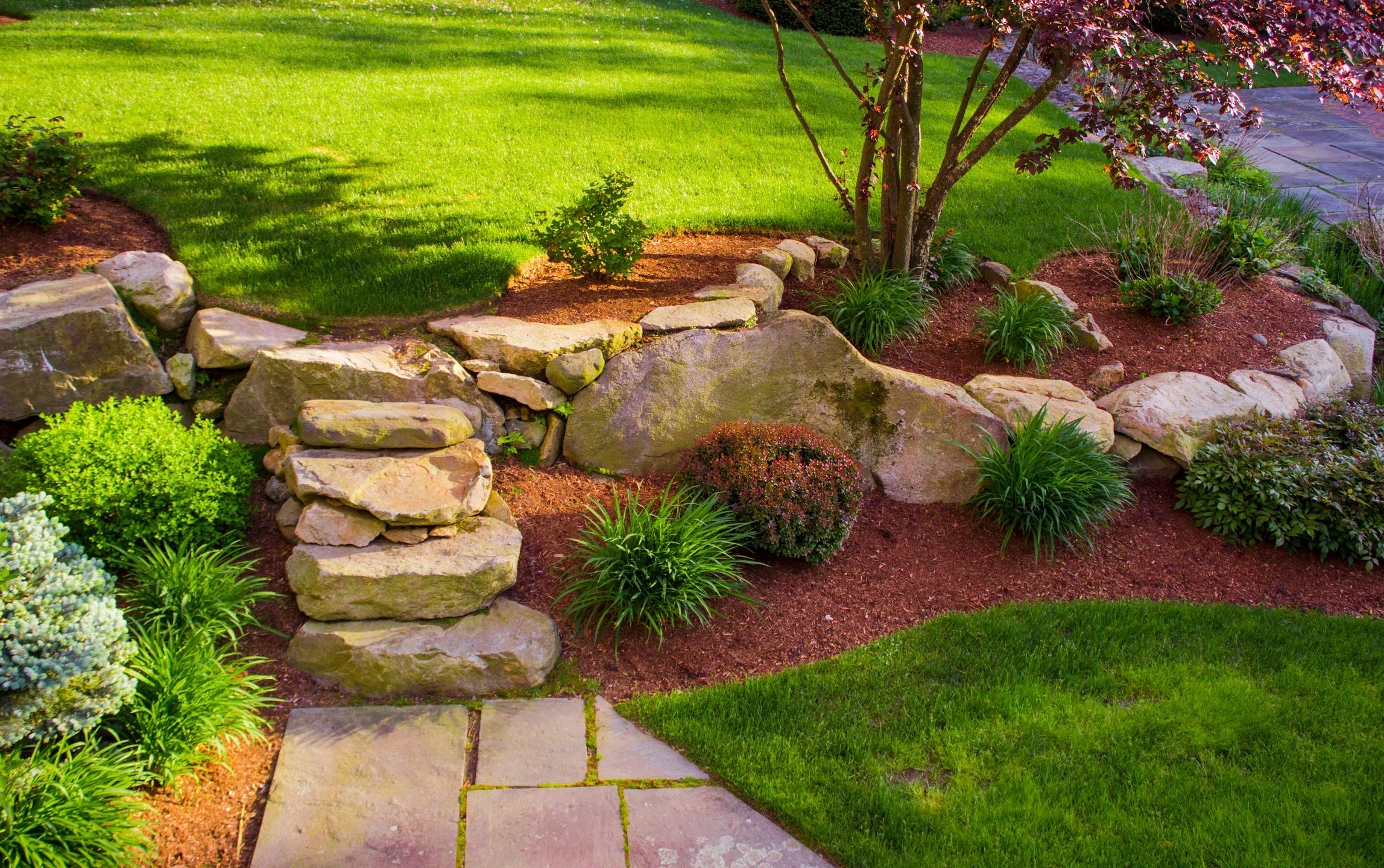 A garden with rocks and plants in the middle of it