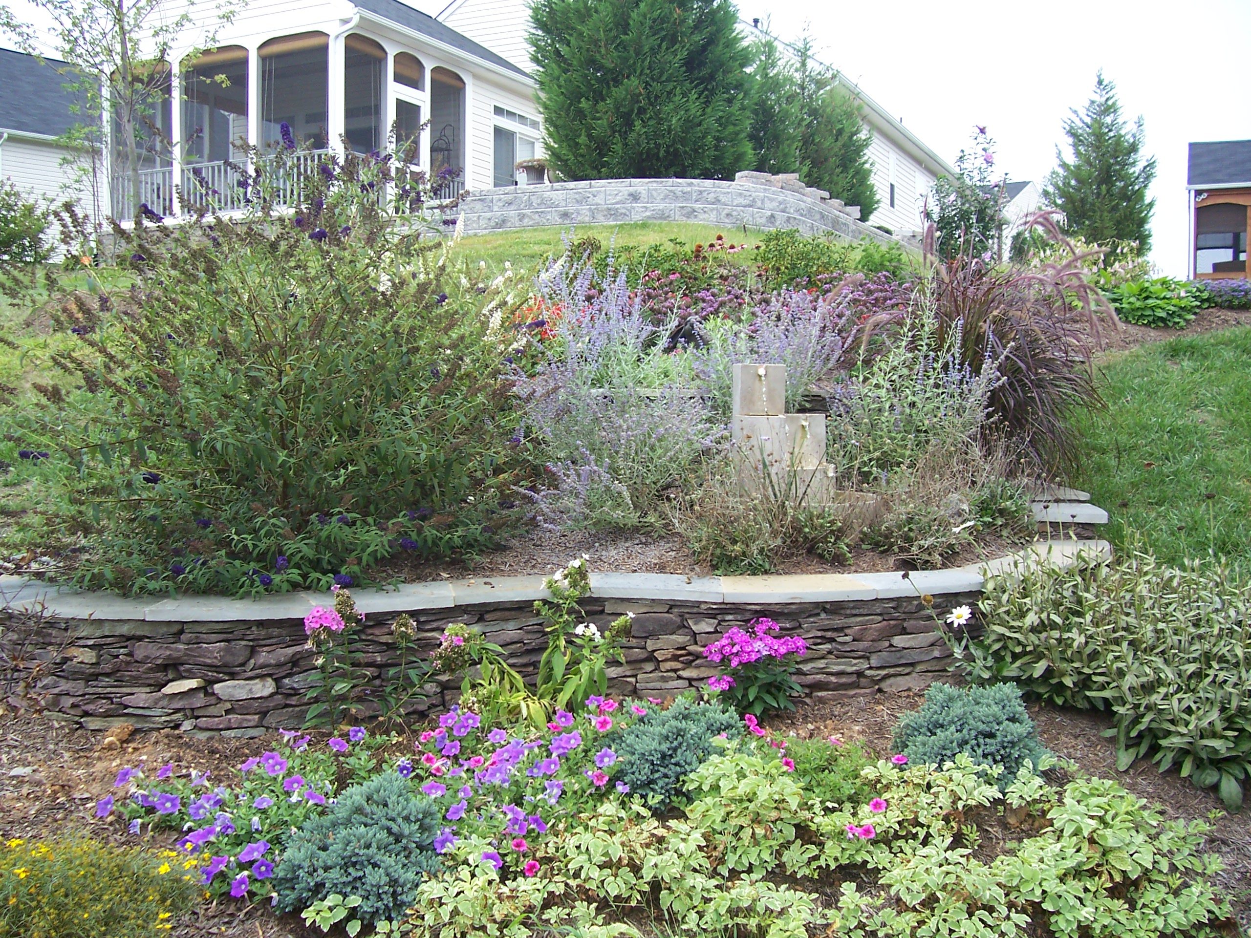 A garden with many different plants and flowers.