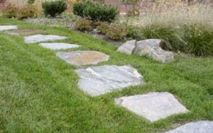 A stone path in the middle of a garden.